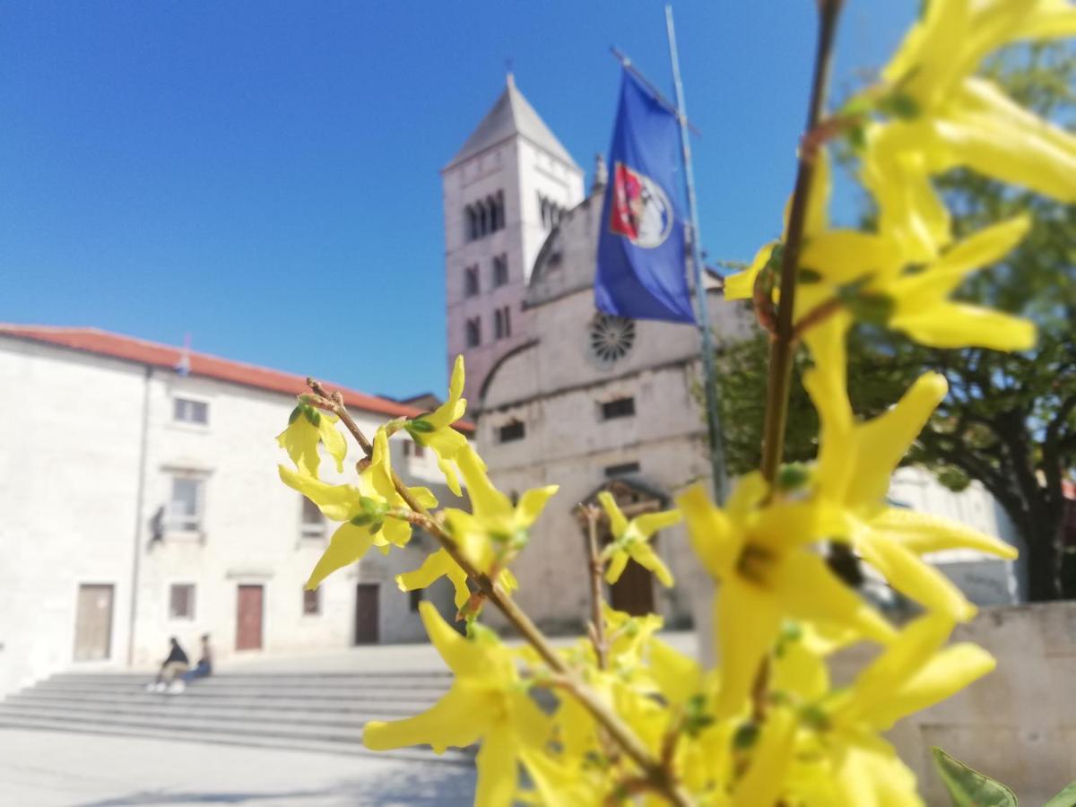 Apartment Pegla Zadar